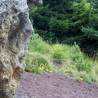 Photo de france - Les volcans d'Auvergne
